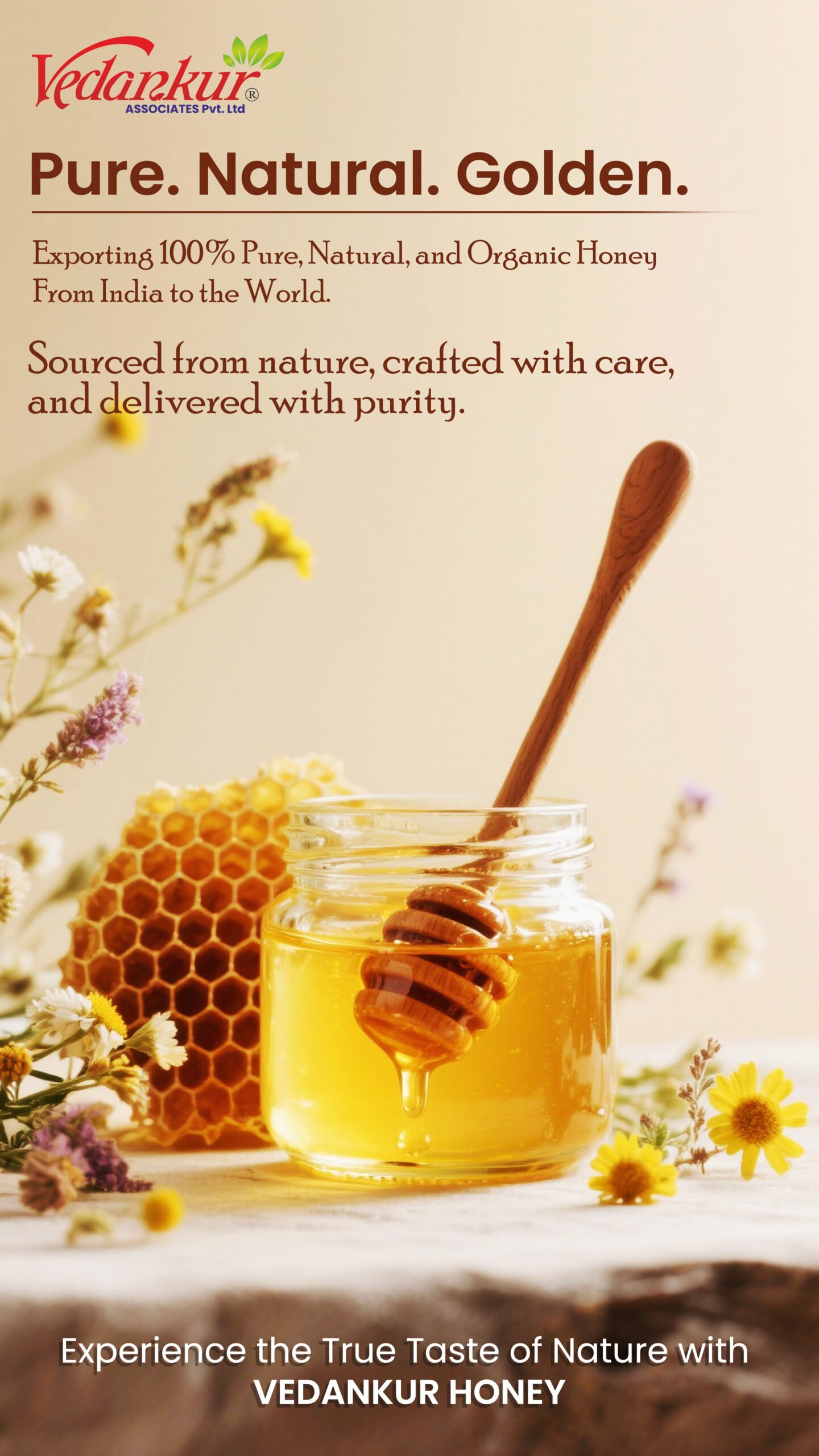 Containers and port — Vedankur exports